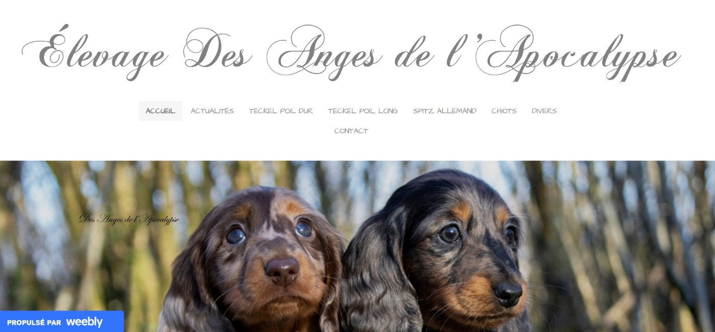 Site principal de l'élevage