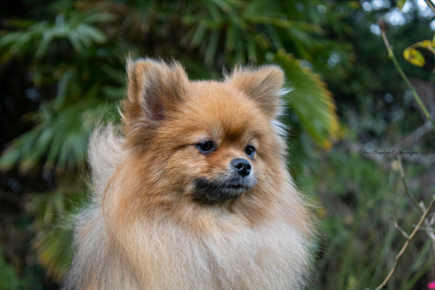 Futures naissances...